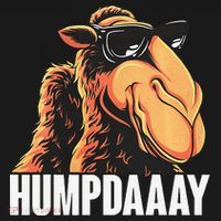 Camel Workweek Hump Day Vintage T-Shirt thumb 7