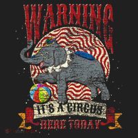 Carnival Warning Its A Circus Here Today Elephant Circus Women's Sweatshirt thumb 2