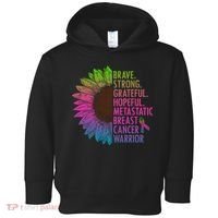 Care Warrior Metastatic Breast Cancer Ribbon Awareness Toddler Hoodie thumb 0