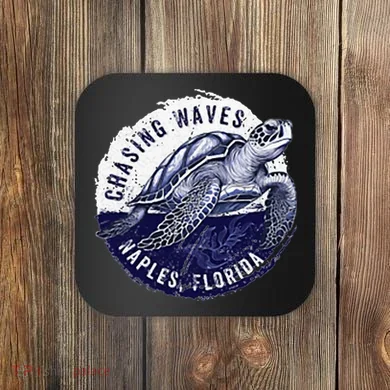 Chasing Waves Naples Florida Coaster