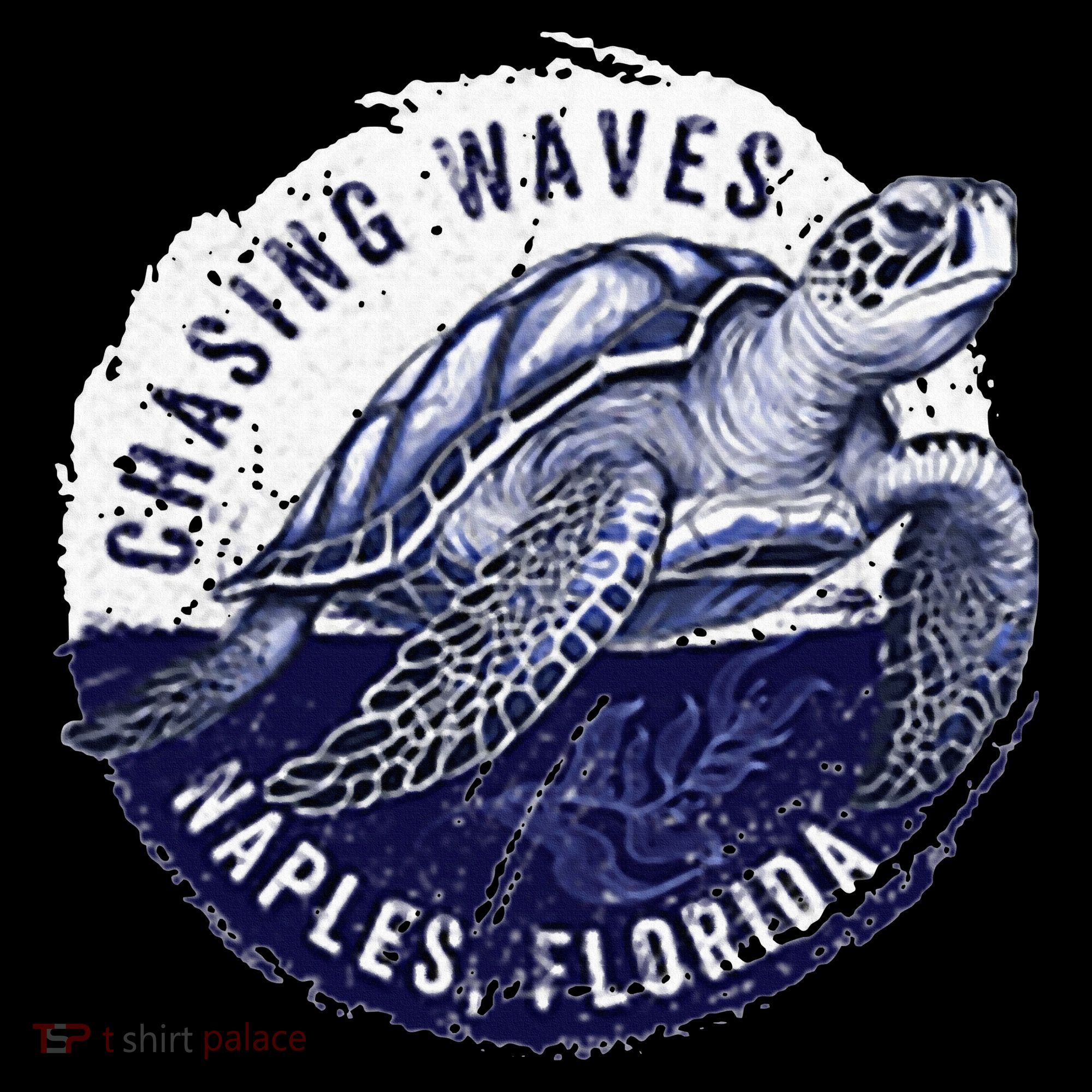 Chasing Waves Naples Florida Women's T-Shirt