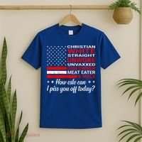 Christian White Straight Unwoke Unvaxxed Gun Owner T-Shirt thumb 2