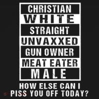 Christian White Straight Republican Unvaxxed Gun Owner Ornament thumb 1