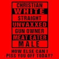 Christian White Straight Republican Unvaxxed Gun Owner Santa Hat thumb 1