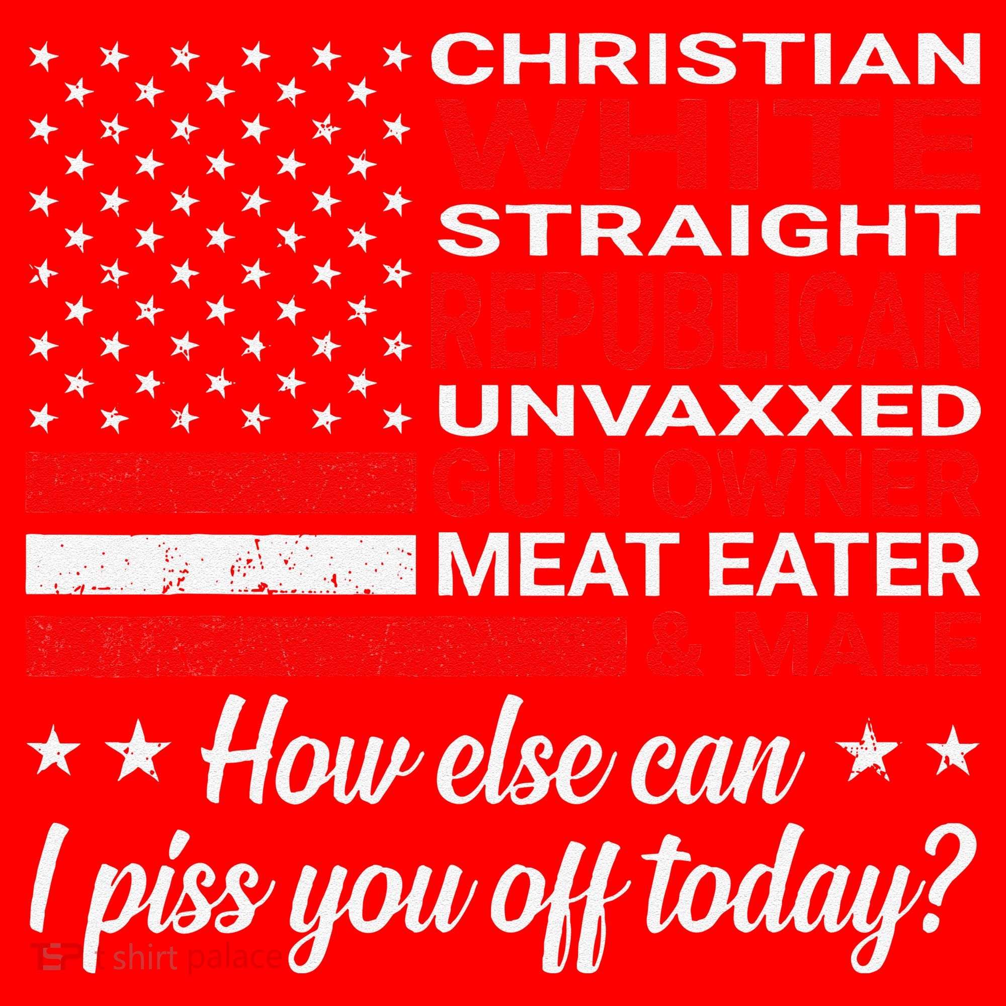 Christian White Straight Republican Unvaxxed Gun Owner Santa Hat