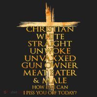 Christian White Straight Unwoke Unvaxxed Gun Owner How Else Can I Piss You Off T Beanie thumb 2