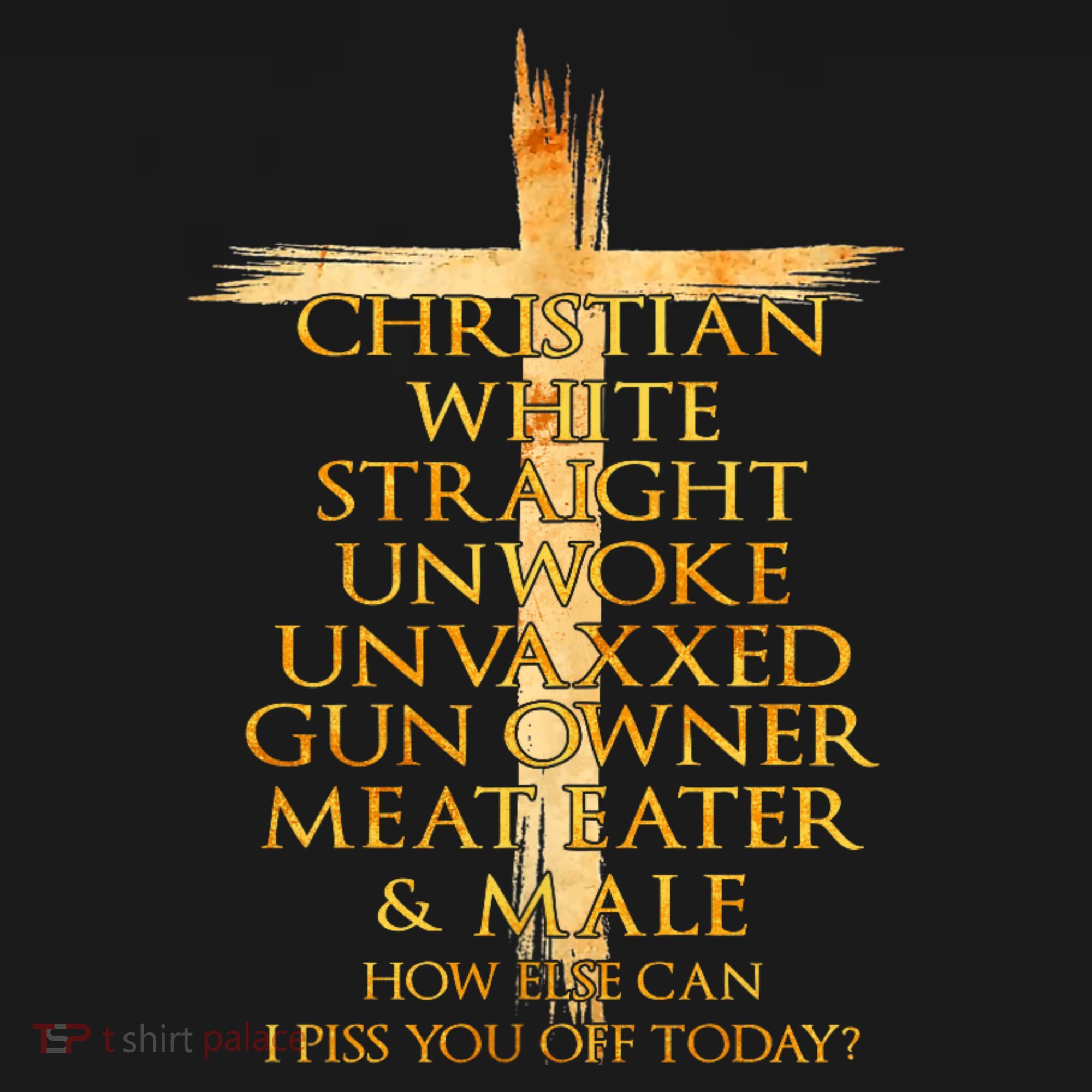 Christian White Straight Unwoke Unvaxxed Gun Owner How Else Can I Piss You Off T Coaster