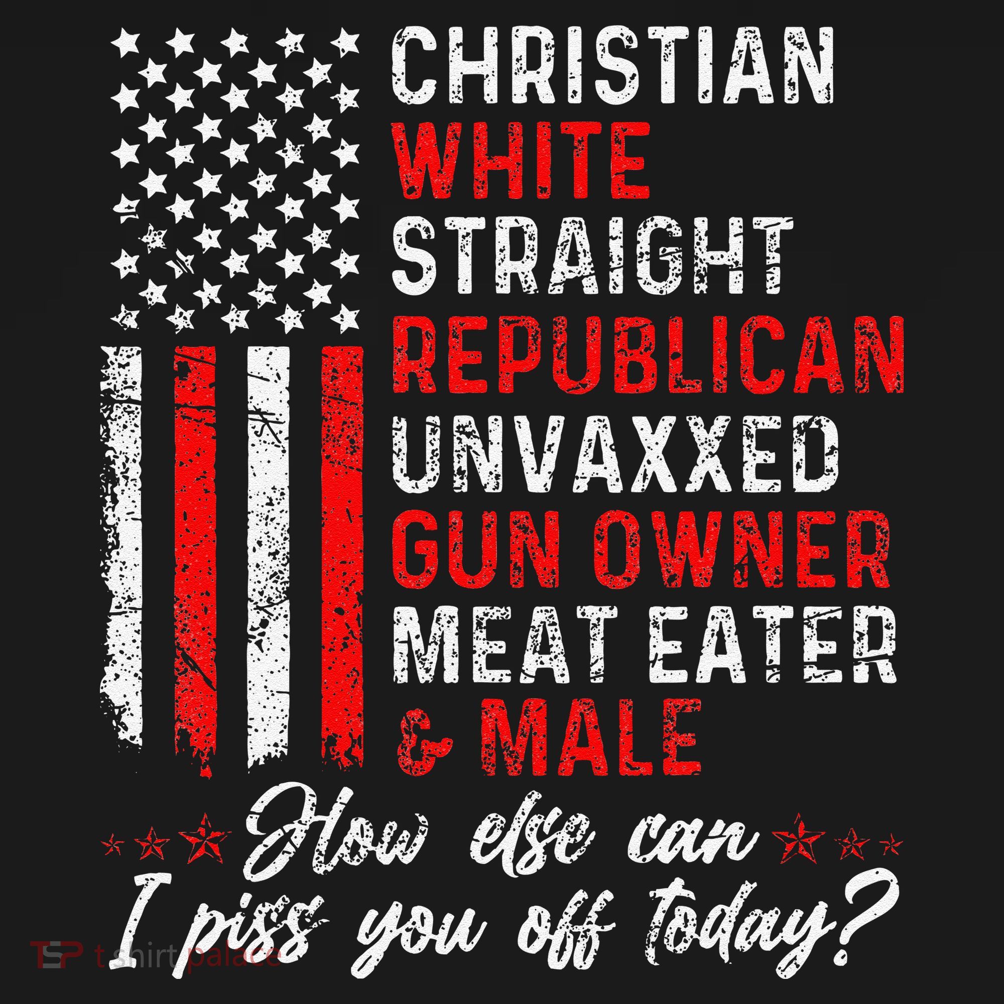 Christian White Straight Republican Unvaxxed Gun Owner Gift Women's Hoodie