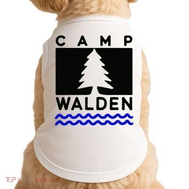 Camp Walden Summer Camp  Summer Camp Doggie Tank