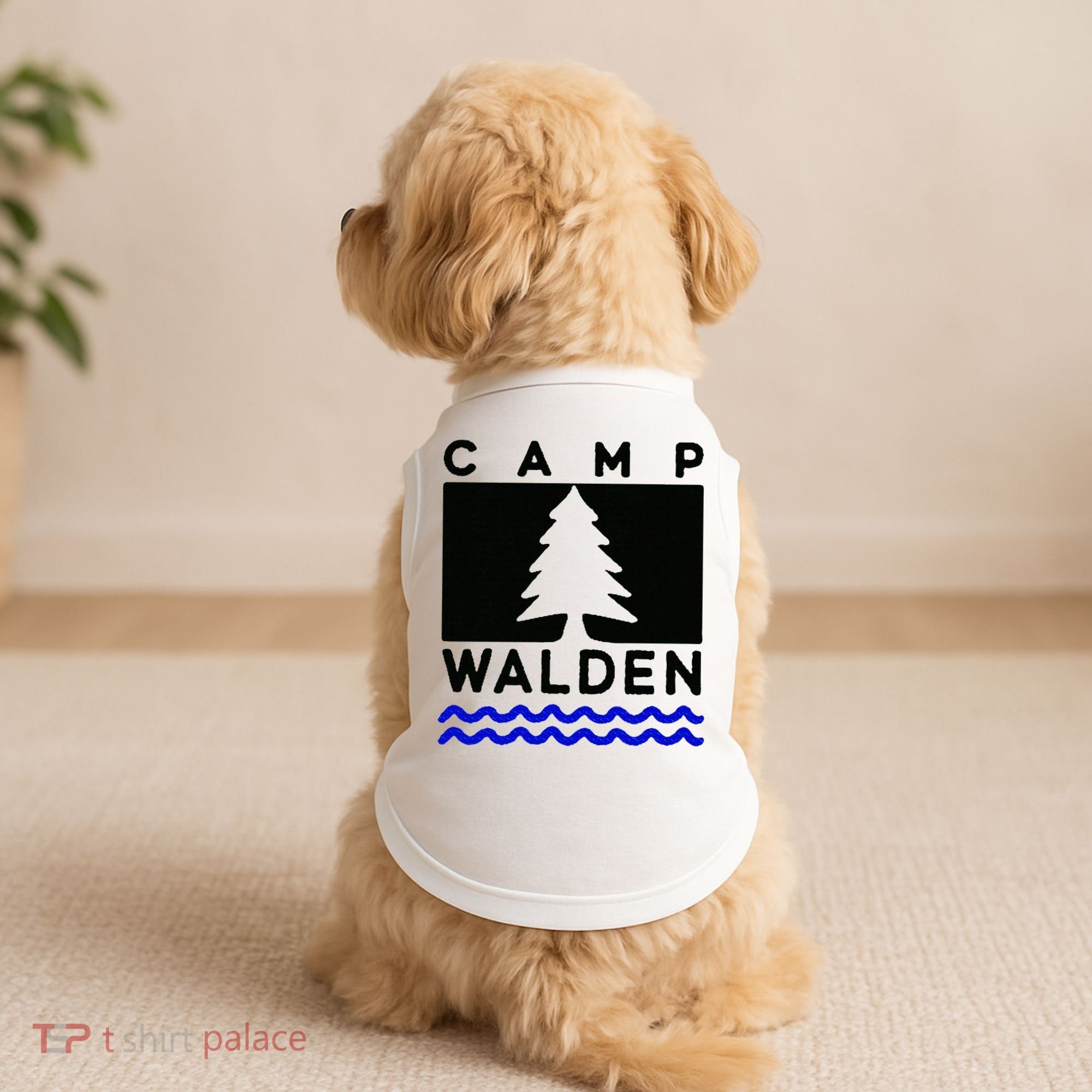 Camp Walden Summer Camp  Summer Camp Doggie Tank