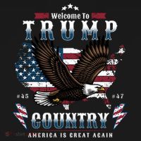 Classic Welcome To Trump Country Maga Eagle Ornament thumb 1