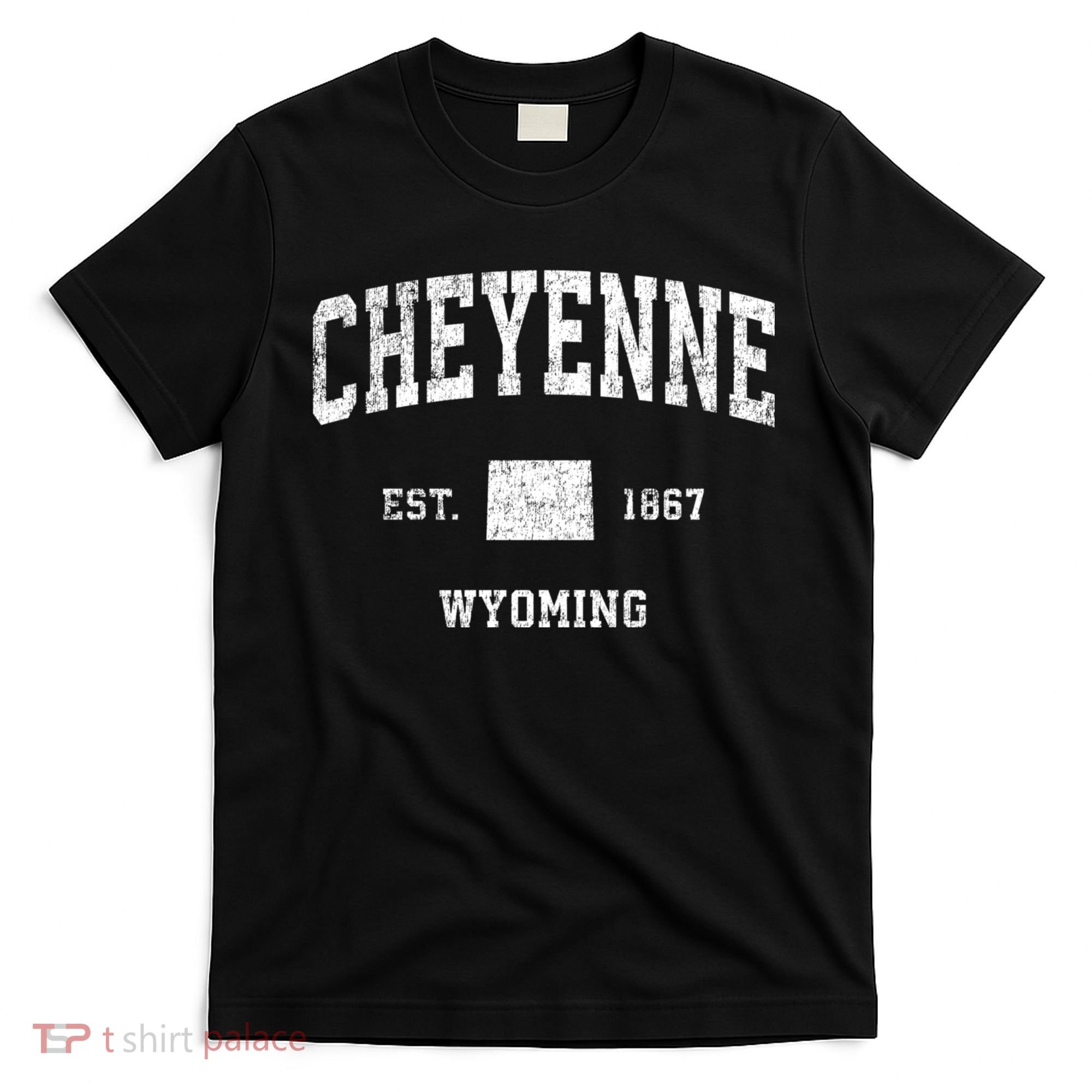 Cheyenne Wyoming Wy Vintage Sports T-Shirt