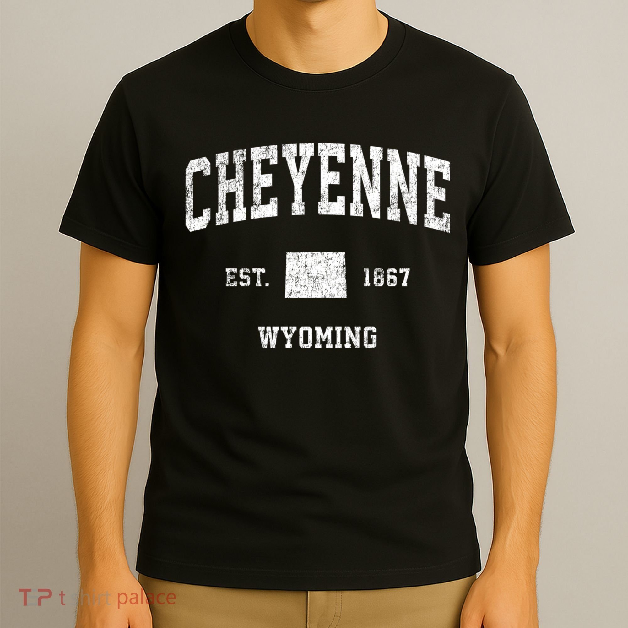 Cheyenne Wyoming Wy Vintage Sports T-Shirt