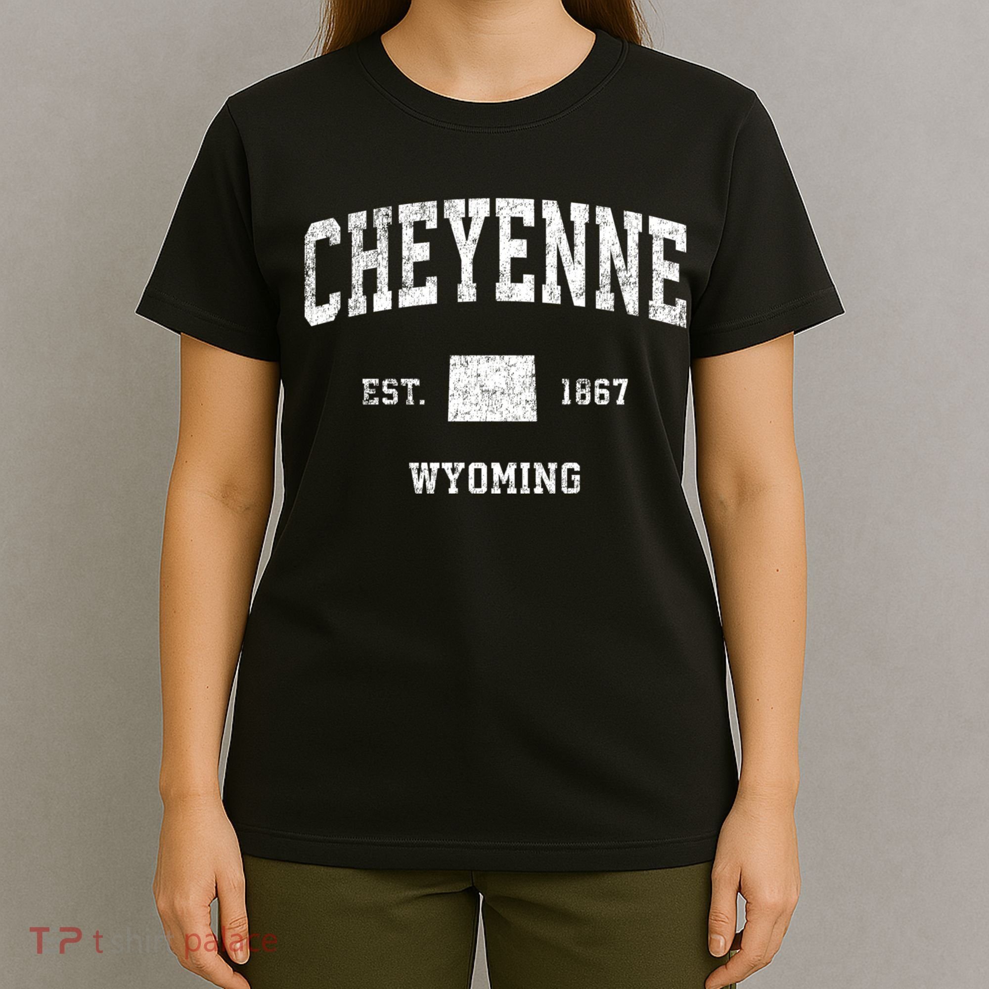 Cheyenne Wyoming Wy Vintage Sports T-Shirt