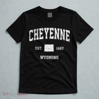 Cheyenne Wyoming Wy Vintage Sports T-Shirt thumb 5