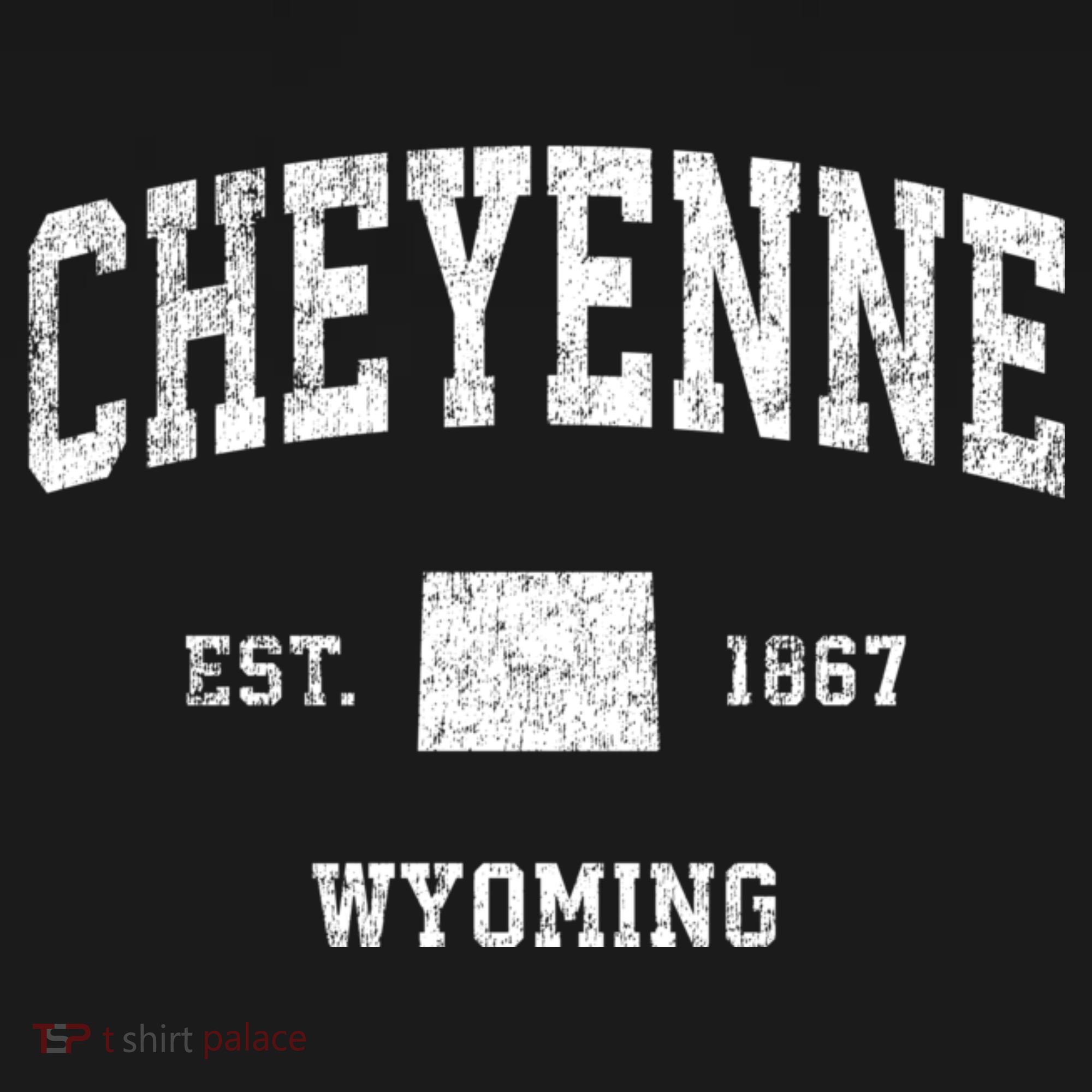 Cheyenne Wyoming Wy Vintage Sports T-Shirt