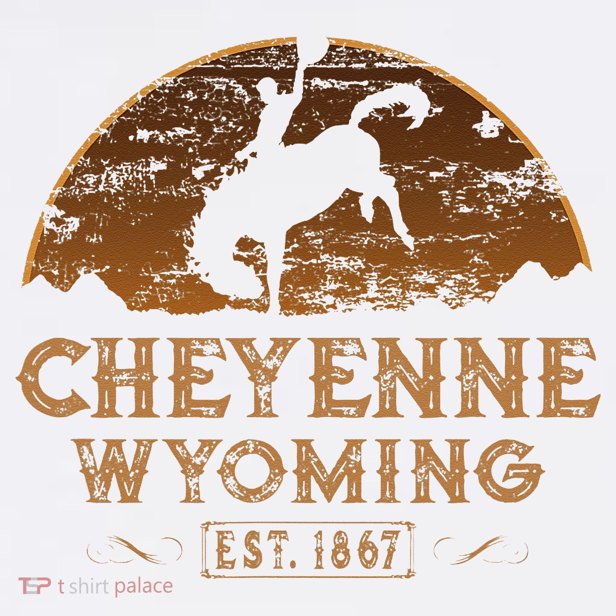 Cheyenne Wyoming WY Rodeo Cowboy Women's Tank Top