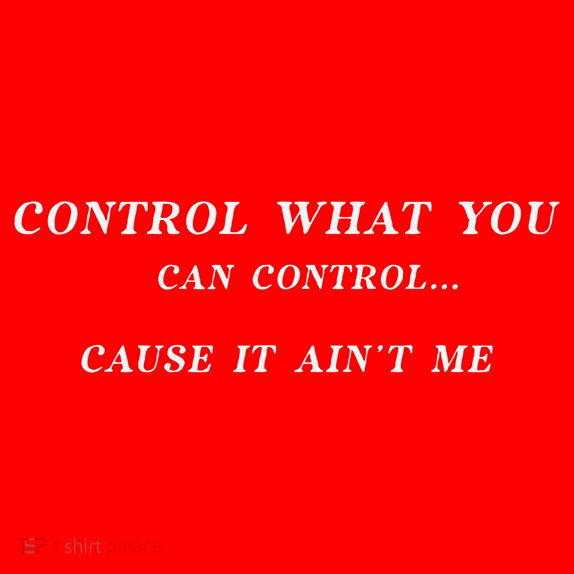Control What You Can Control Cause It AinT Me Funny Saying Santa Hat