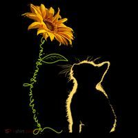 Cat You Are My Sunshine Funny Coffee Mug thumb 5