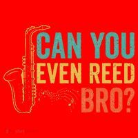 Can You Even Reed Bro Funny Saxophone Player Santa Hat thumb 1
