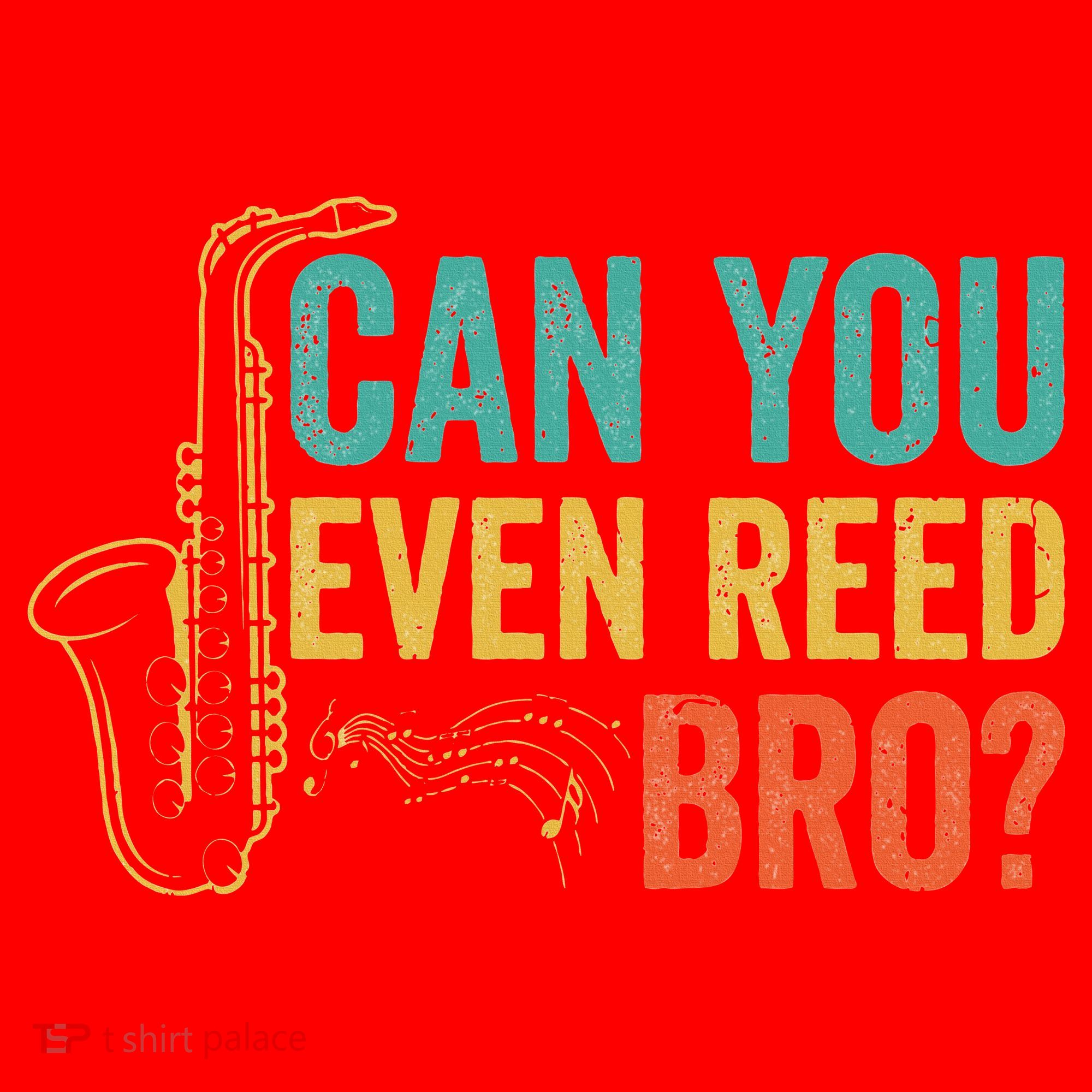 Can You Even Reed Bro Funny Saxophone Player Santa Hat