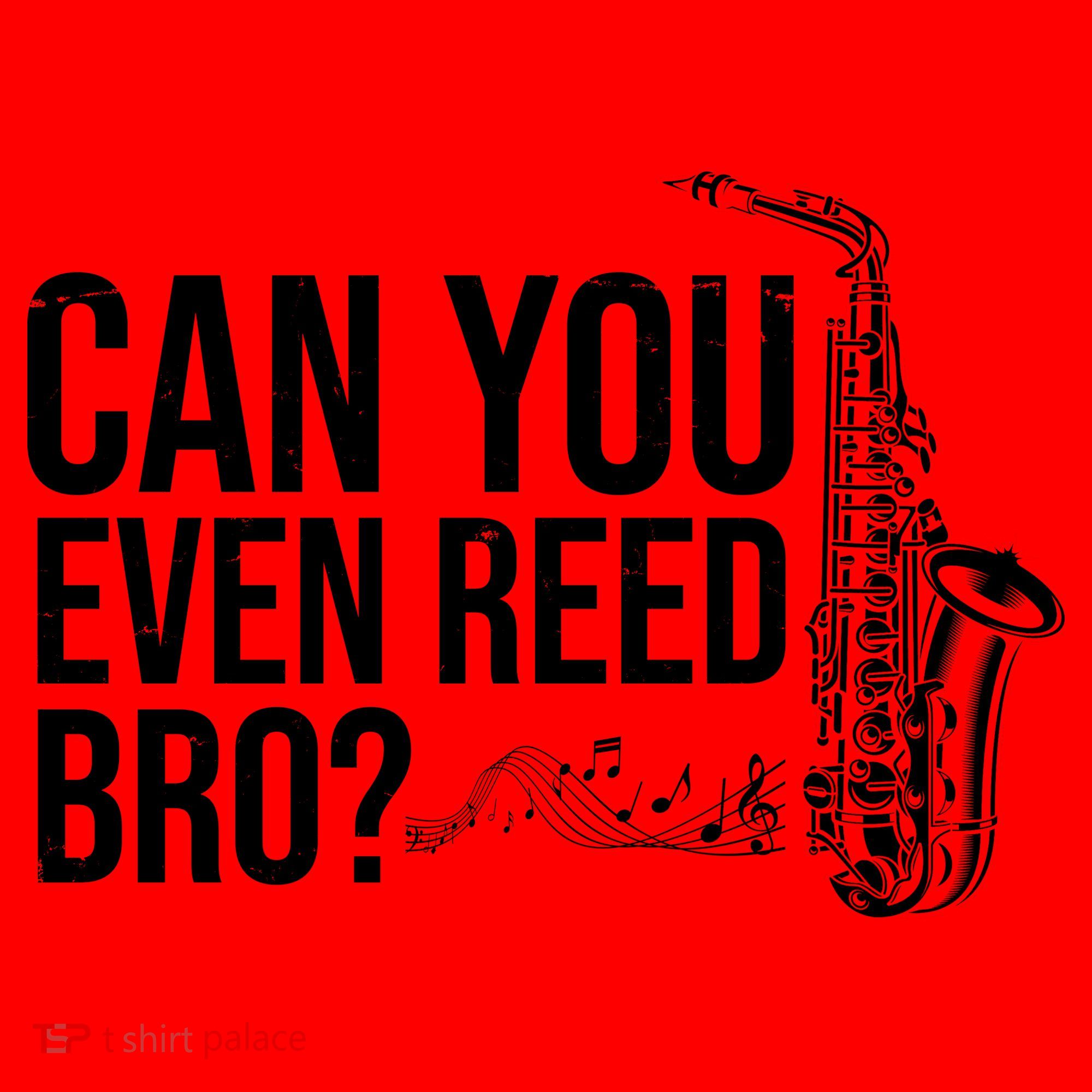 Can You Even Reed Bro Funny Saxophone Santa Hat