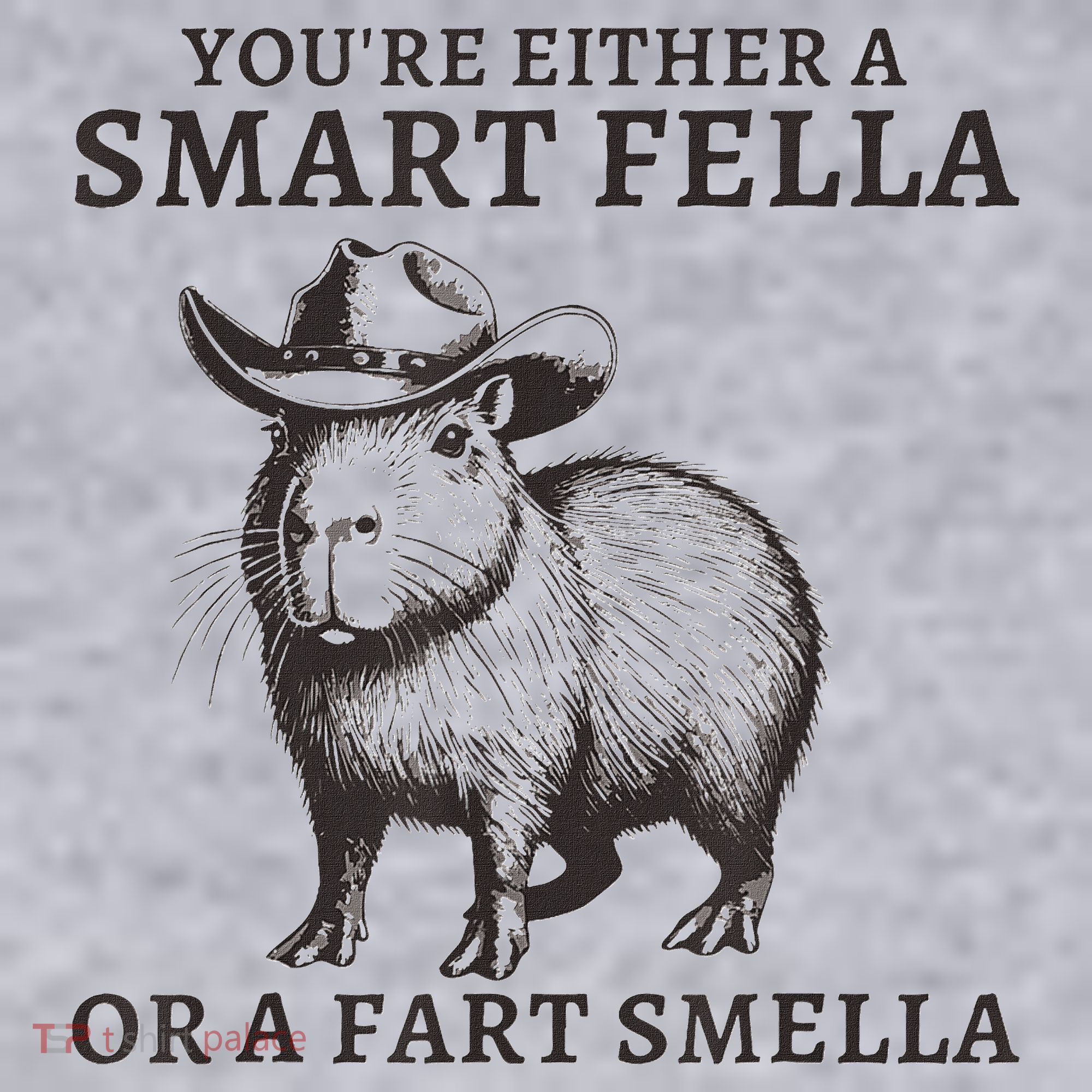 Capybara YouRe Either A Smart Fella Or A Fart Smella Women's Sweatshirt