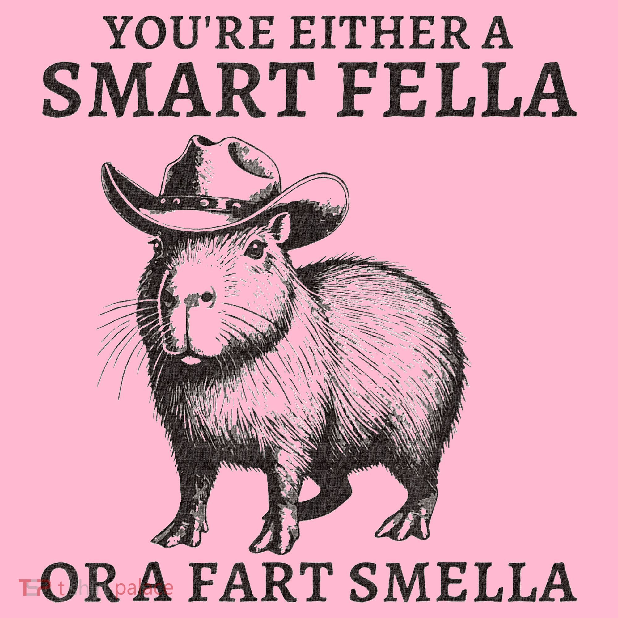 Capybara YouRe Either A Smart Fella Or A Fart Smella Long Sleeve Shirt