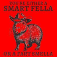 Capybara YouRe Either A Smart Fella Or A Fart Smella Santa Hat thumb 1