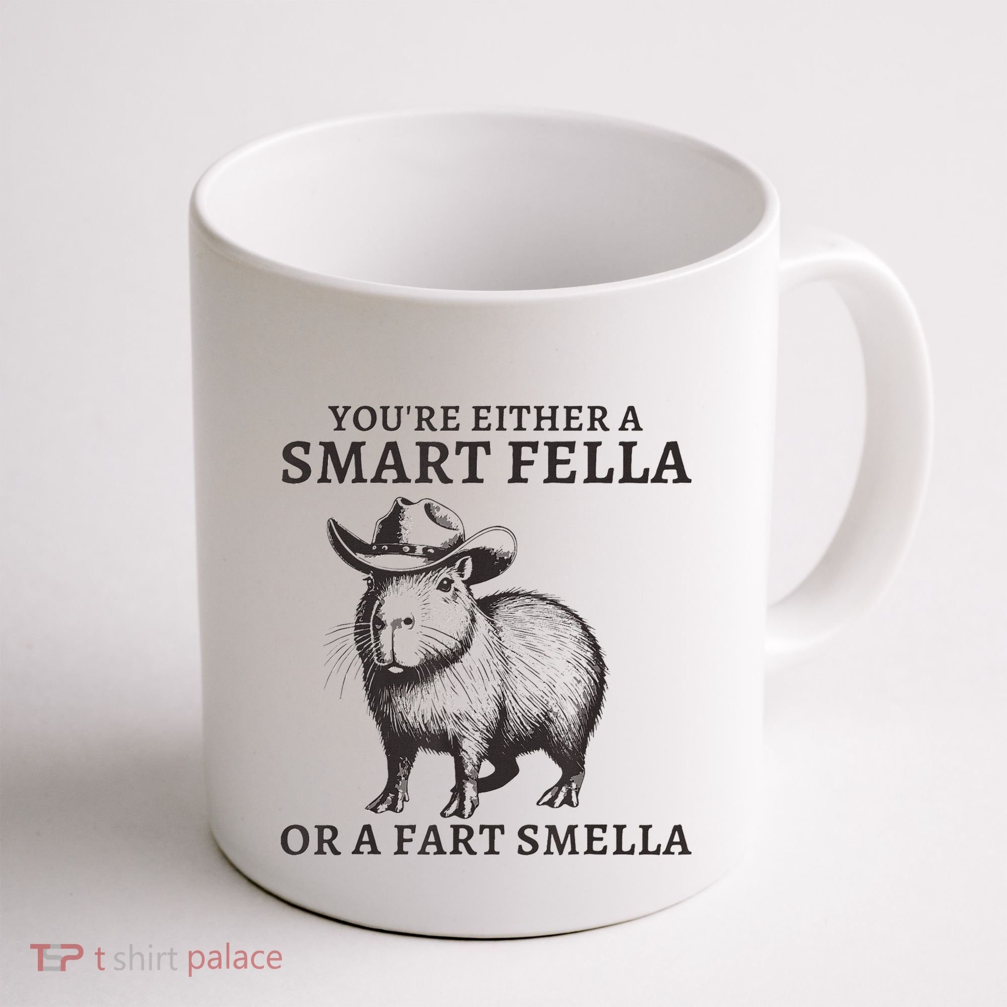 Capybara YouRe Either A Smart Fella Or A Fart Smella Coffee Mug