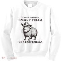 Capybara YouRe Either A Smart Fella Or A Fart Smella Kids Sweatshirt thumb 0