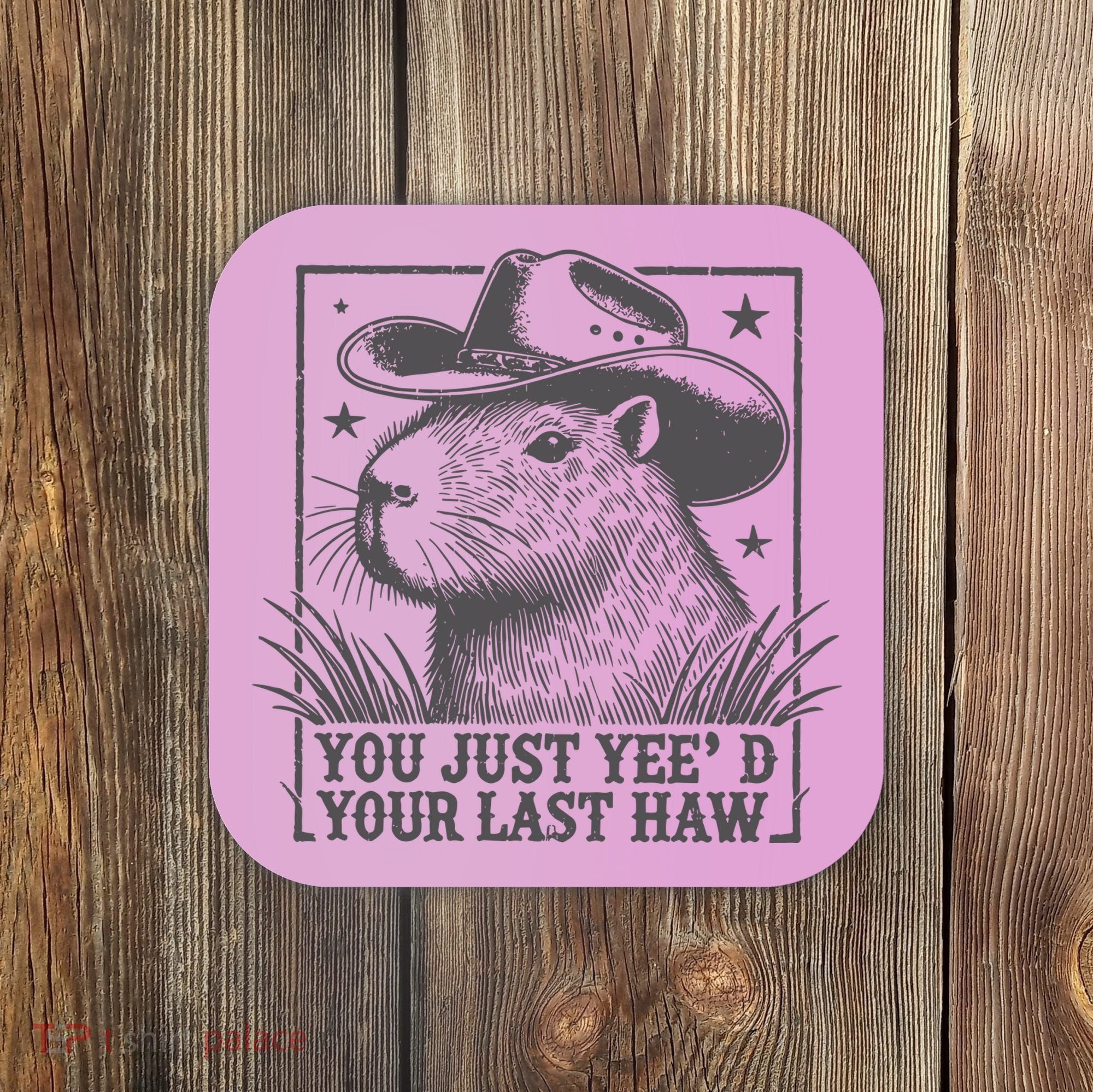 Capybara You Just Yeed Your Last Haw Coaster