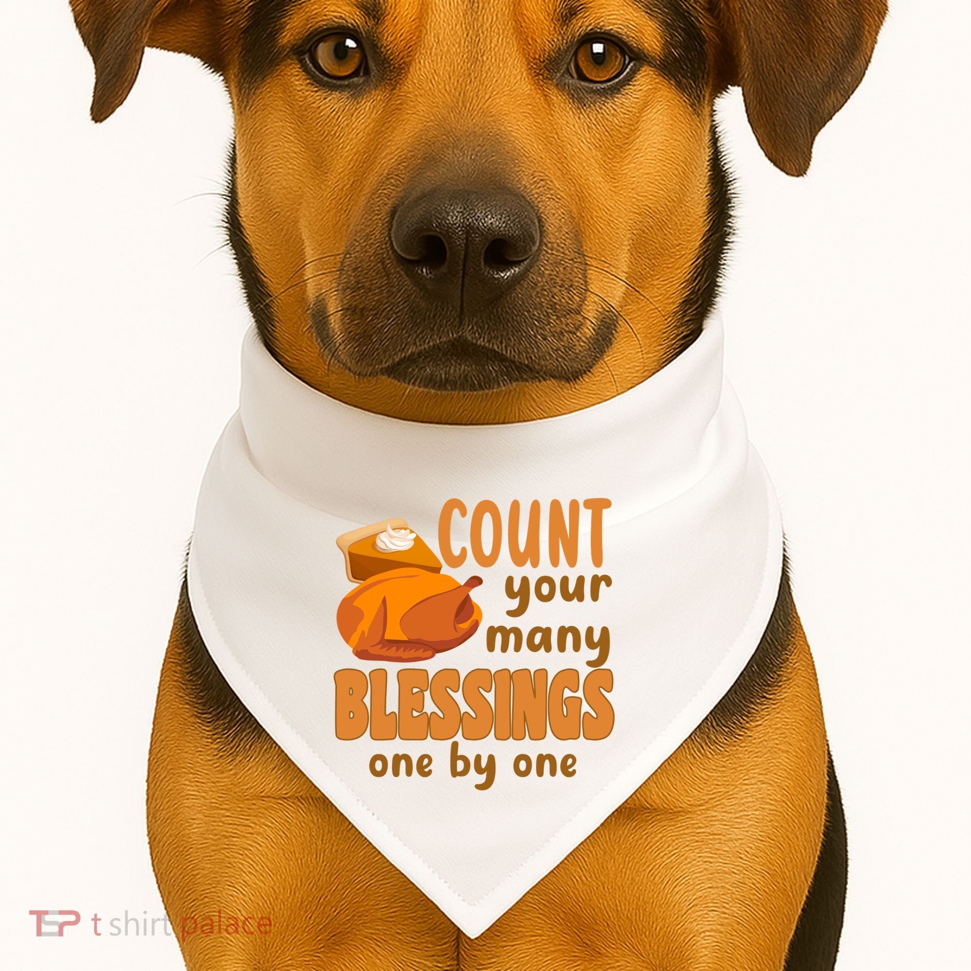 Count Your Many Blessings One By One Thanksgiving USA-Made Doggie Bandana