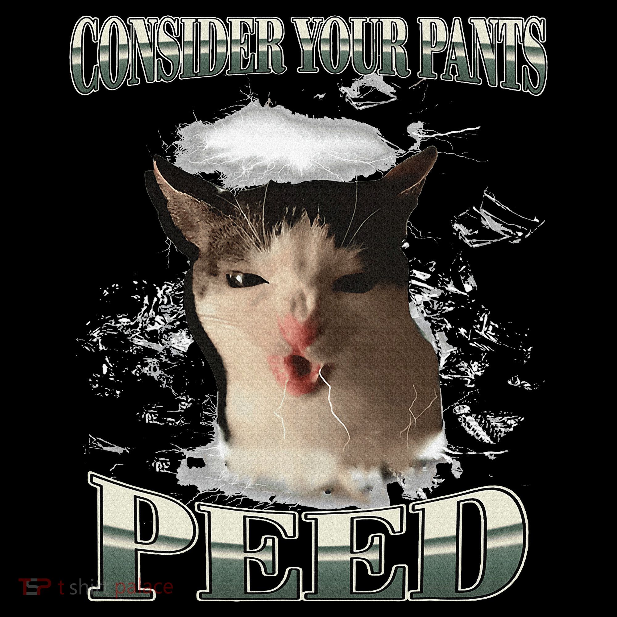 Consider Your Pants Peed Funny Freak Cat Meme Humor Saying Coffee Mug