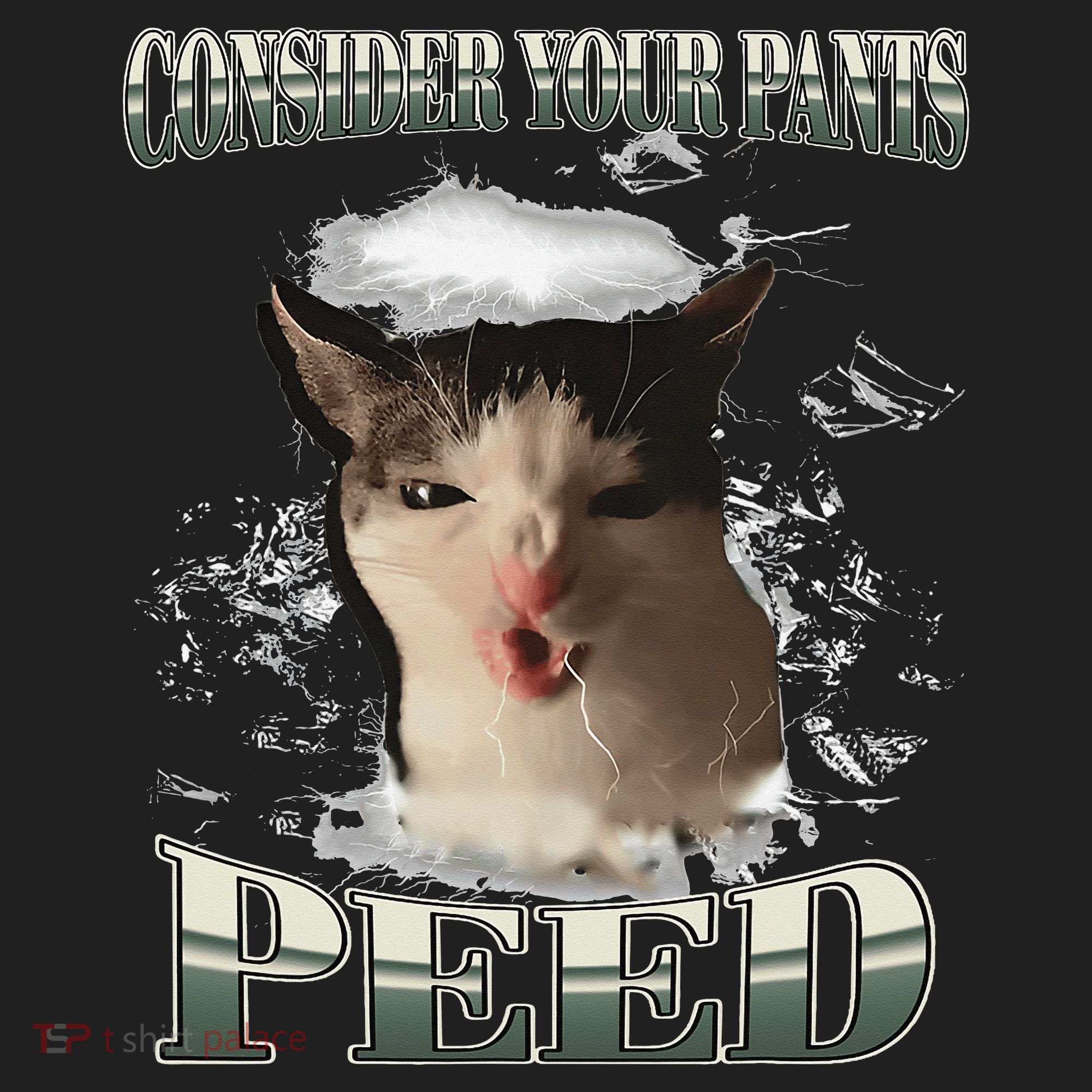 Consider Your Pants Peed Funny Freak Cat Meme Humor Saying Beanie
