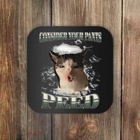 Consider Your Pants Peed Funny Freak Cat Meme Humor Saying Coaster thumb 0