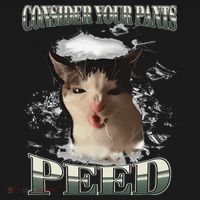 Consider Your Pants Peed Funny Freak Cat Meme Humor Saying Women's Tank Top thumb 5