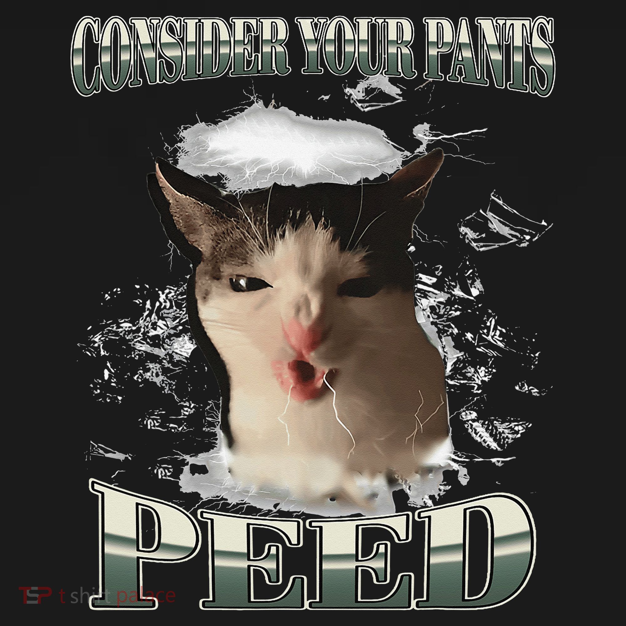 Consider Your Pants Peed Funny Freak Cat Meme Humor Saying Women's Tank Top