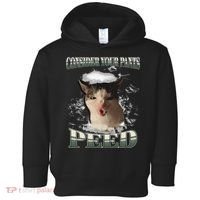 Consider Your Pants Peed Funny Freak Cat Meme Humor Saying Toddler Hoodie thumb 0