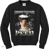 Consider Your Pants Peed Funny Freak Cat Meme Humor Saying Kids Sweatshirt thumb 0