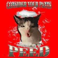 Consider Your Pants Peed Funny Freak Cat Meme Humor Saying Santa Hat thumb 1