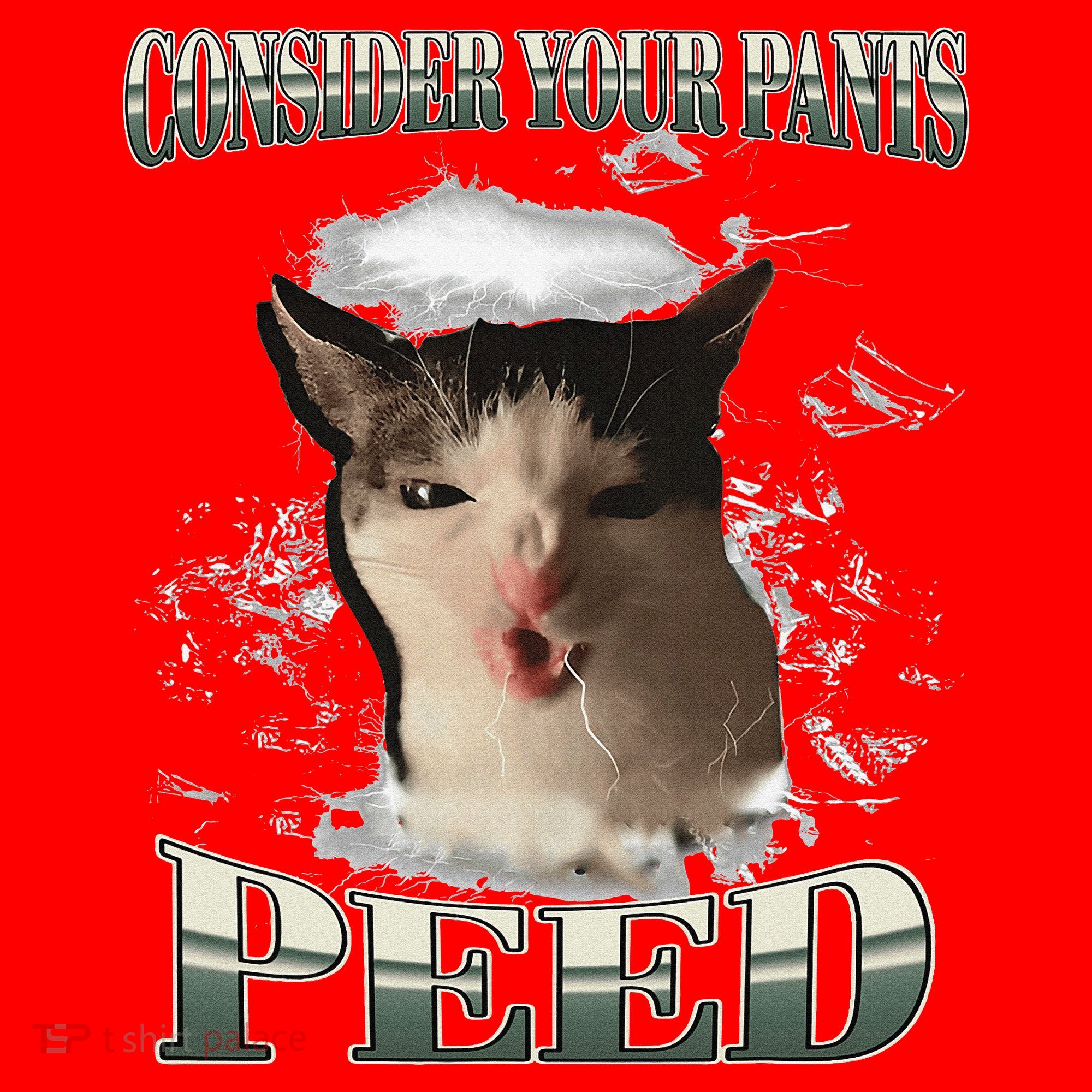 Consider Your Pants Peed Funny Freak Cat Meme Humor Saying Santa Hat