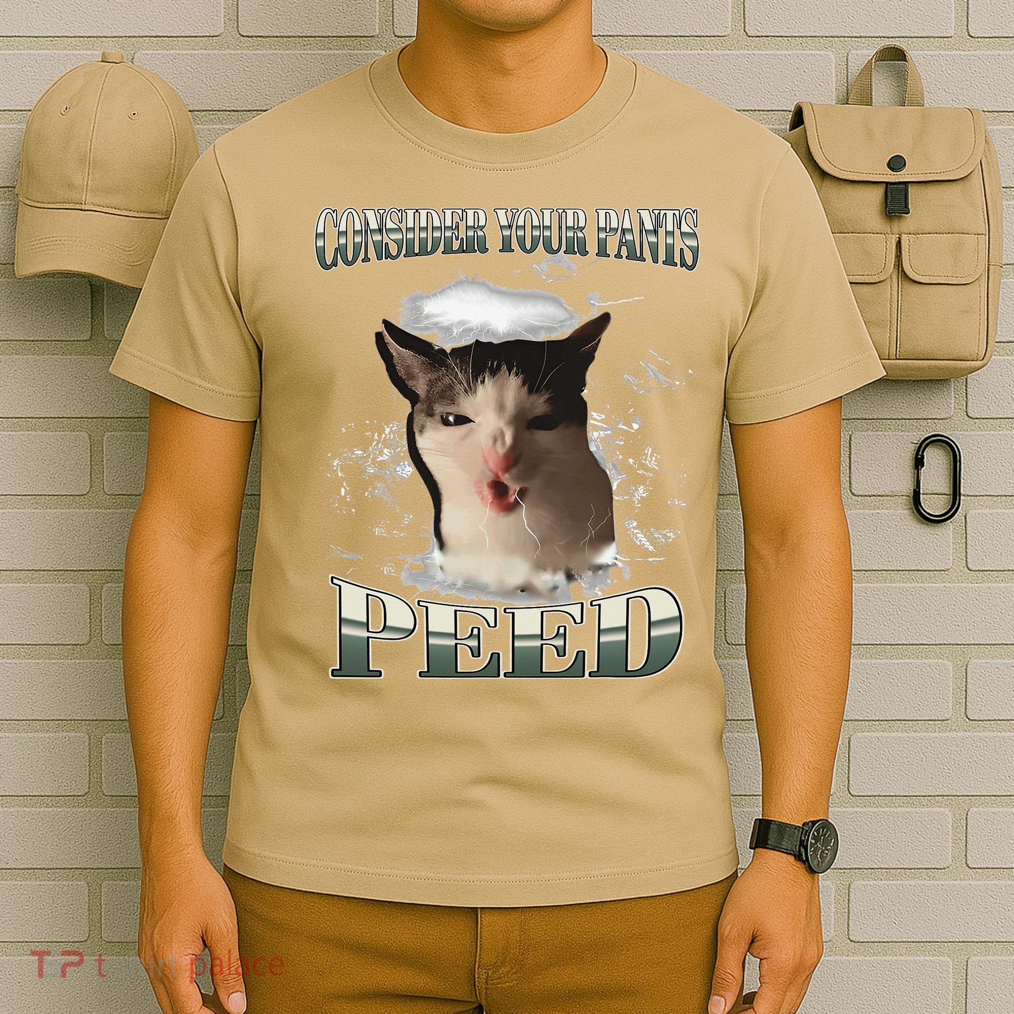 Consider Your Pants Peed Funny Freak Cat Meme Humor Saying T-Shirt