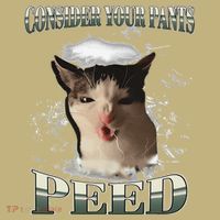 Consider Your Pants Peed Funny Freak Cat Meme Humor Saying Kids T-Shirt thumb 2