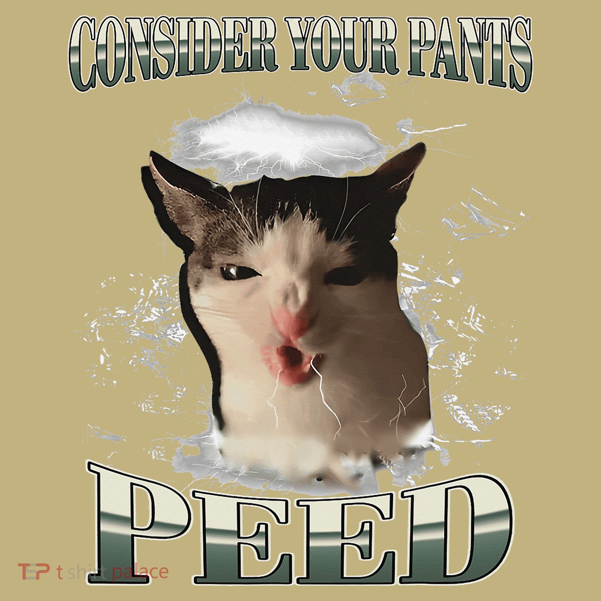 Consider Your Pants Peed Funny Freak Cat Meme Humor Saying Kids T-Shirt