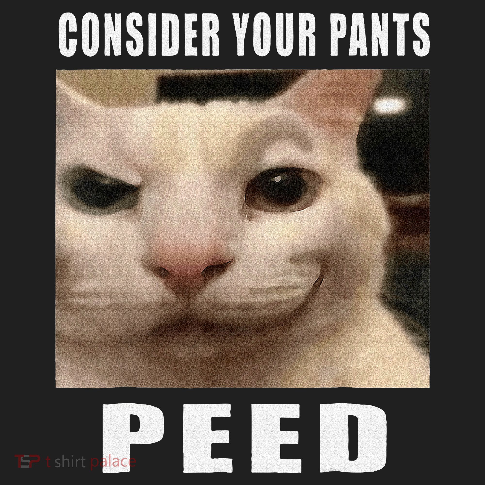 Consider Your Pants Peed Cat Funny Women's Sweatshirt