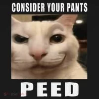 Consider Your Pants Peed Cat Funny Doggie Tank thumb 4