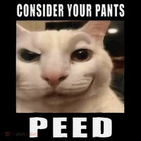 Consider Your Pants Peed Cat Funny USA-Made Doggie Bandana thumb 2