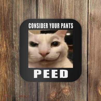 Consider Your Pants Peed Cat Funny Coaster