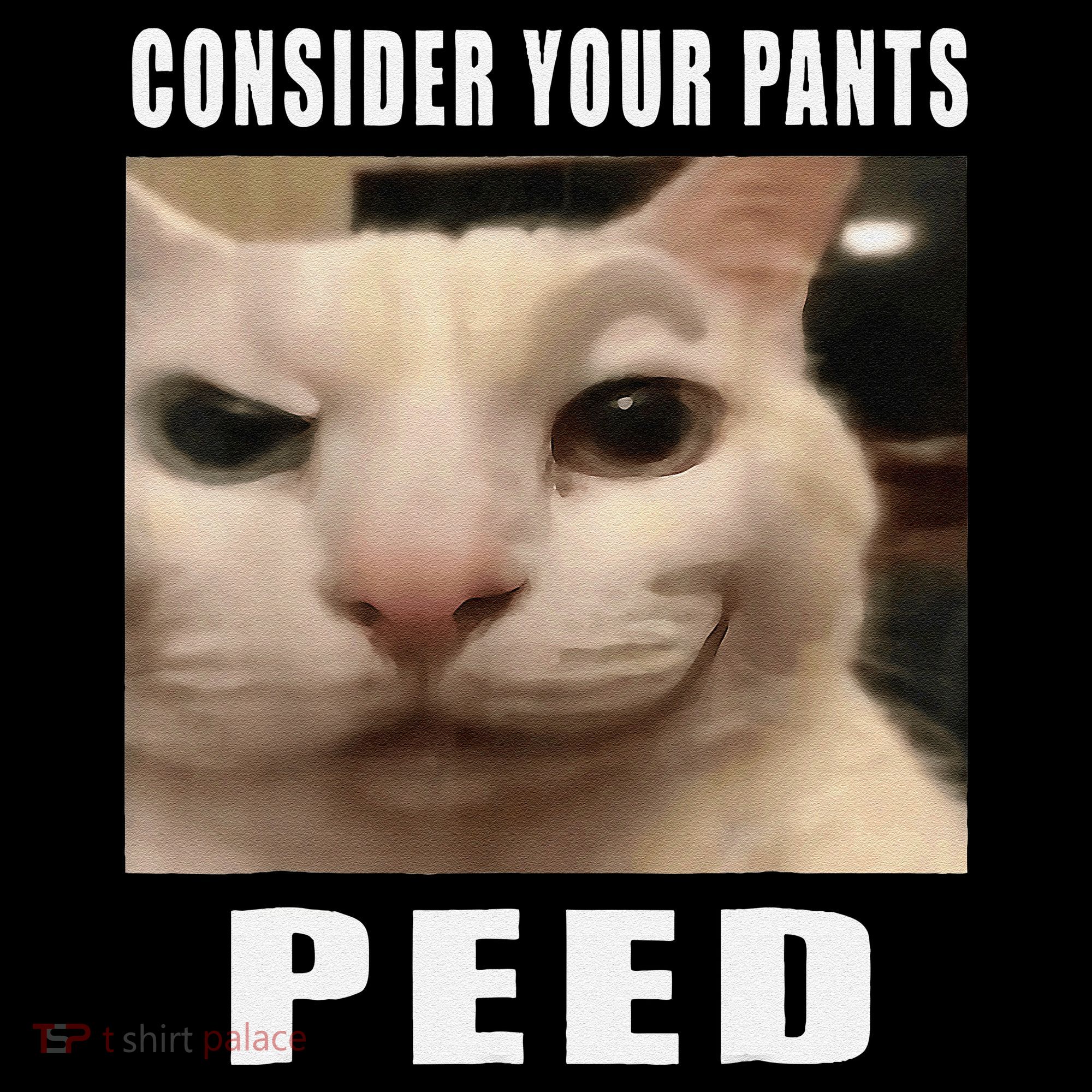 Consider Your Pants Peed Cat Funny Women's Hoodie